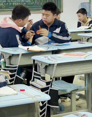 太好笑了的动图：自挂东南枝！