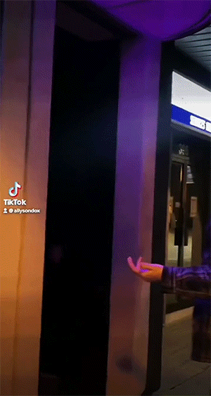 太好笑了的动图：自挂东南枝！