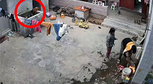 好笑的GIF：你永远不知道，有刘海的妹子脑门有多大？