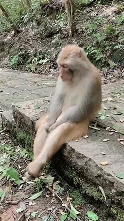 好笑的GIF：你永远不知道，有刘海的妹子脑门有多大？