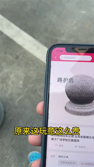 猫：你当我是狗呢？