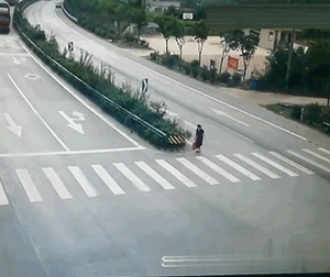 猫：你当我是狗呢？