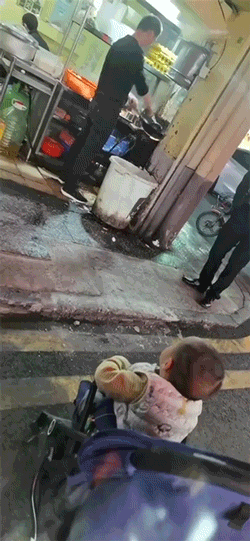 猫：你当我是狗呢？
