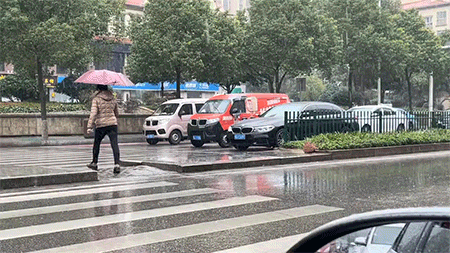 猫：你当我是狗呢？