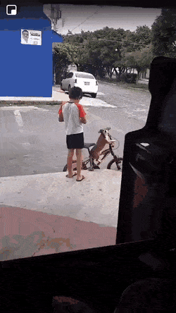搞笑的GIF：打麻将要有仪式感！