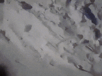 搞笑的GIF：打麻将要有仪式感！
