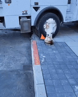 搞笑GIF：一瞬间，自己就悲剧了！