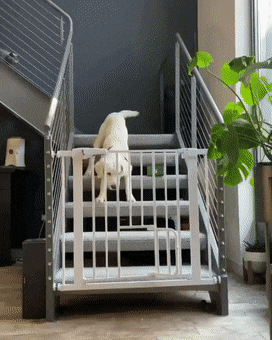 搞笑GIF：一瞬间，自己就悲剧了！