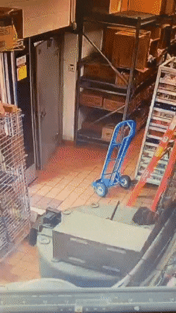 搞笑GIF：一瞬间，自己就悲剧了！