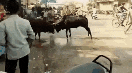 搞笑GIF：一瞬间，自己就悲剧了！