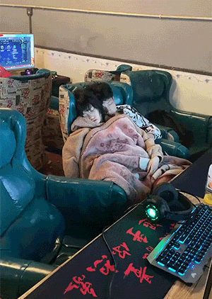好笑的动图图片：大哥，心急吃不了热豆腐！