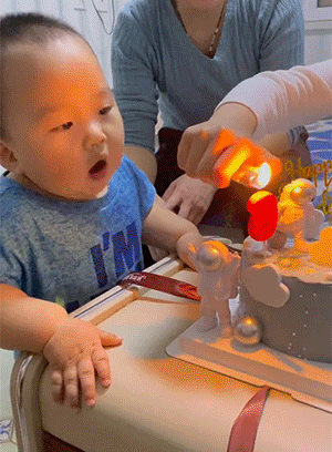 经典动图：长翅膀的鱼，这是会飞的鱼？
