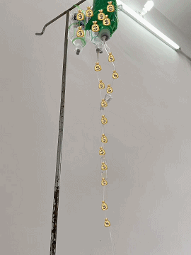 经典动图：长翅膀的鱼，这是会飞的鱼？