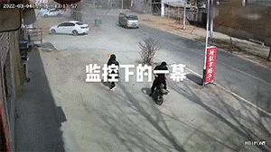 经典动图：长翅膀的鱼，这是会飞的鱼？