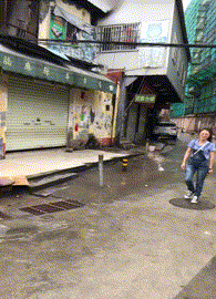 经典动图：长翅膀的鱼，这是会飞的鱼？