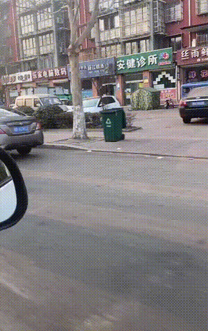 经典动图：长翅膀的鱼，这是会飞的鱼？