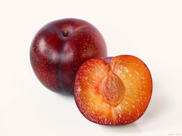 今天由桃李甲天下李子苗基地告诉您!