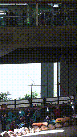 搞笑的GIF：畜牧专业看来也很欢乐啊！