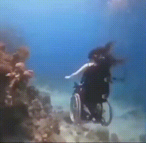 搞笑的GIF：畜牧专业看来也很欢乐啊！