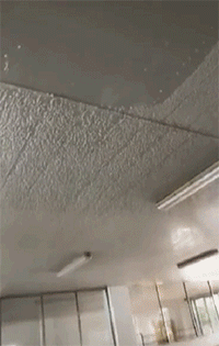 爆笑的动图：围观有风险，风险还不小！