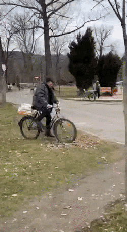 爆笑GIF：悲催瞬间集锦！