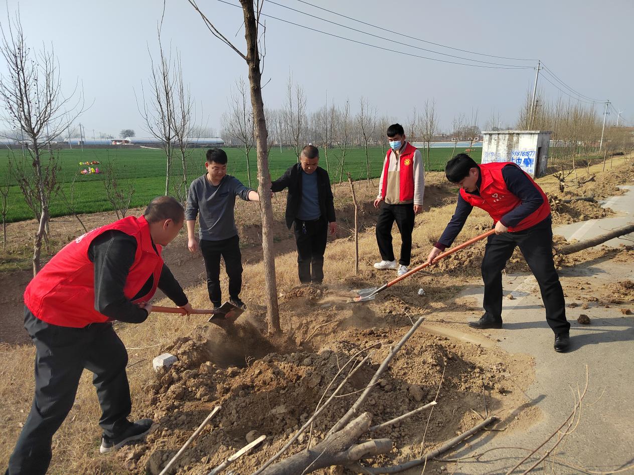 兰考闫楼：春满大地万物苏，植树添绿正当时