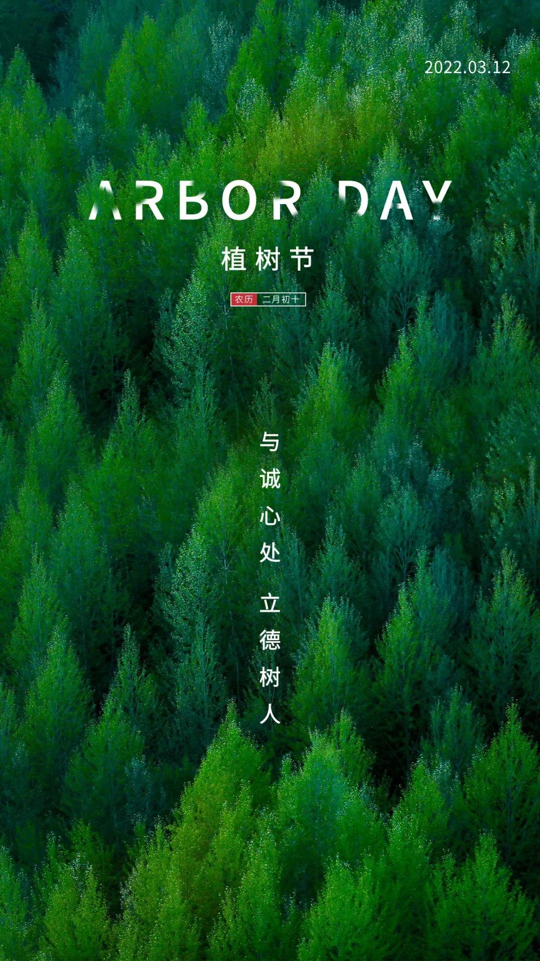2022植树节图片配图插画高清大全带字，植树节祝福语文案句子
