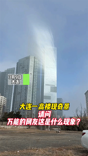 蹦迪吗？14天起步那种！