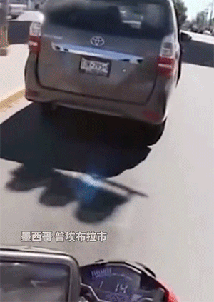 搞笑动图GIF图：本是打篮球的好手，你却拿来接西瓜