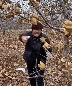 GIF图：直播带货主播翻车动图，笑死！