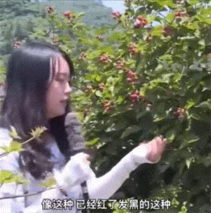 GIF图：直播带货主播翻车动图，笑死！