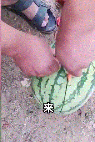 GIF图：直播带货主播翻车动图，笑死！
