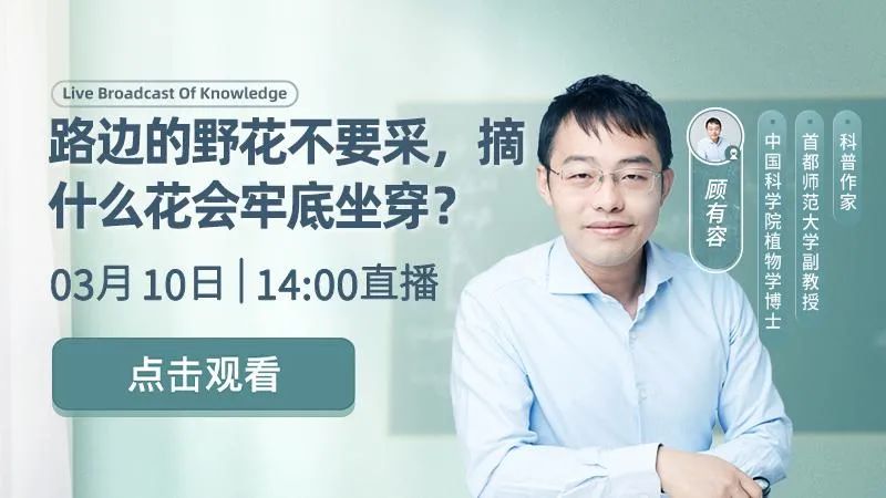 张朝阳跨界与搜狐视频新赛道-锋巢网