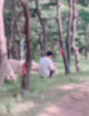 搞笑动图：狗狗也会吃醋的，还特别酸！