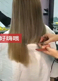 搞笑动图：狗狗也会吃醋的，还特别酸！