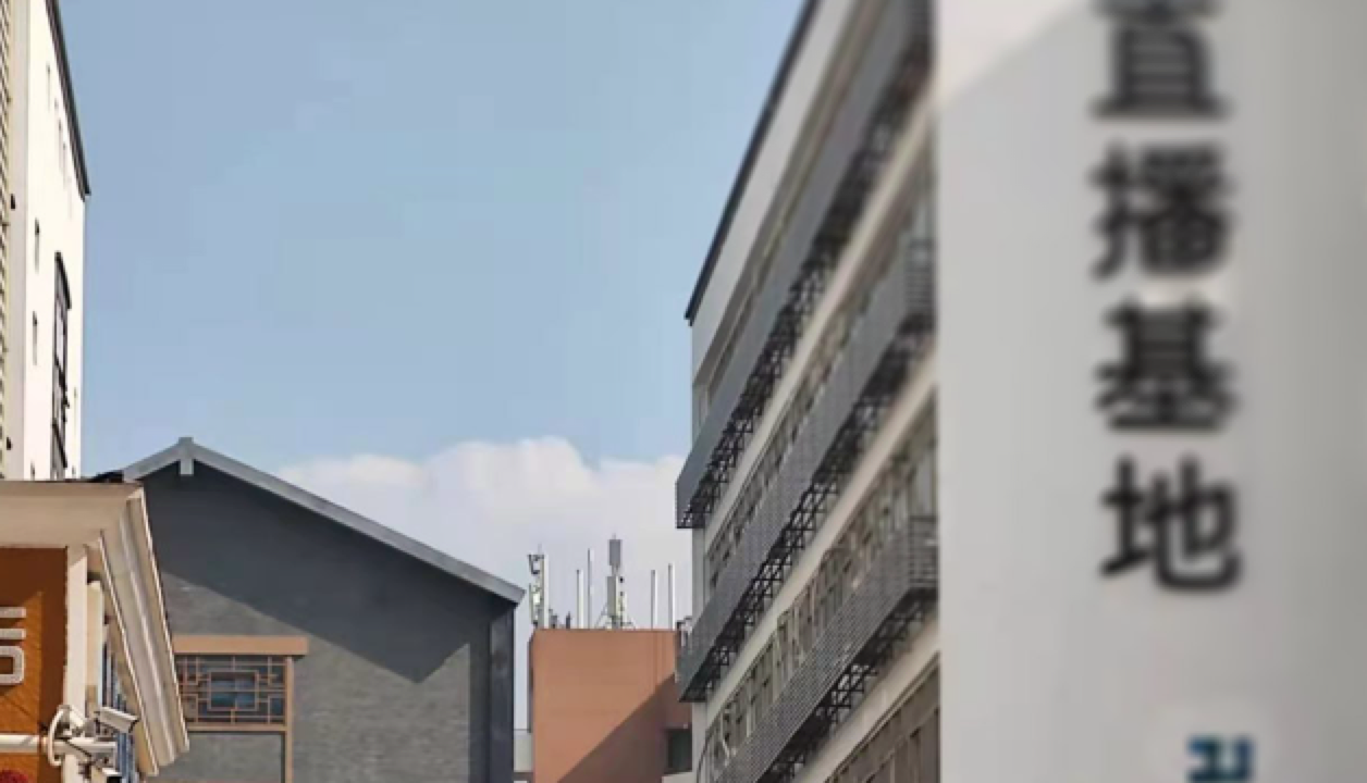 网红孵化忙下沉 乡镇区县有商机？