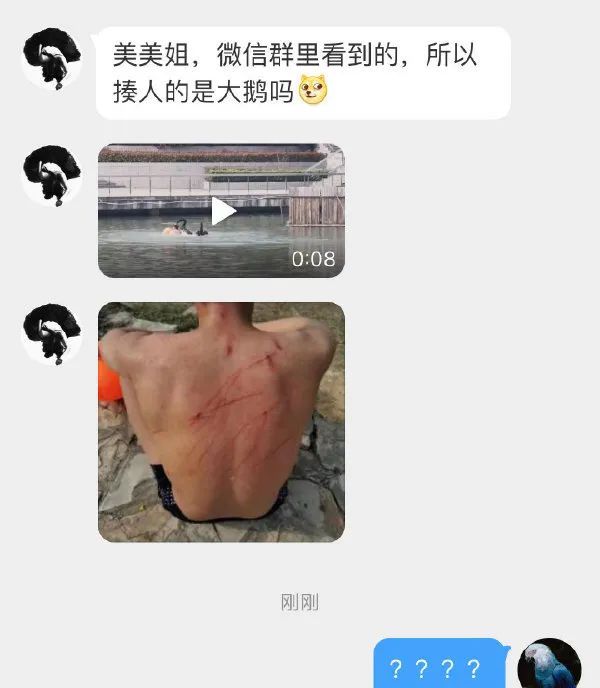 幽默动图：这屁屁被打得太冤枉了