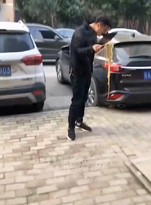 幽默动图：这屁屁被打得太冤枉了