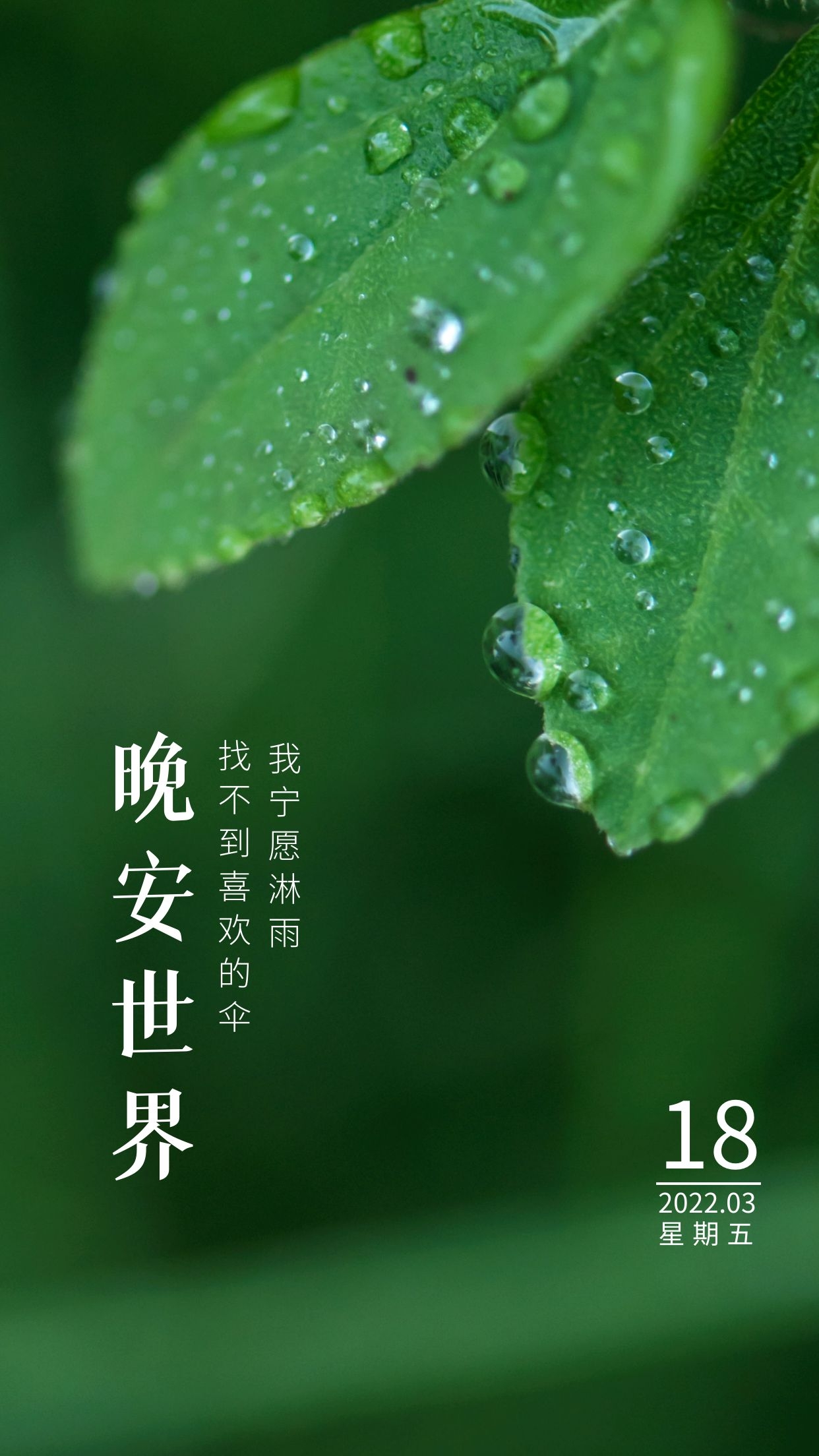 经典文案短句子：成了小时候羡慕的大人，也成了羡慕小时候的大人