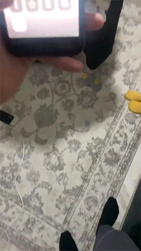 动图图片有趣：水从哪来的？