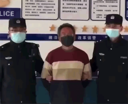 有意思的动图图片：这种捕食方式被称为tread-water feeding