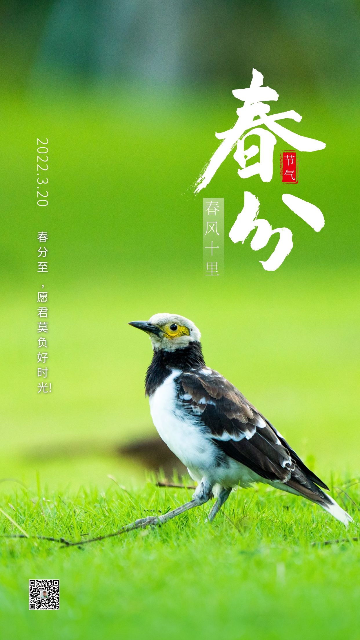 春分图片配图大全唯美高清带字，春分祝福语句子文案，春分吉祥语