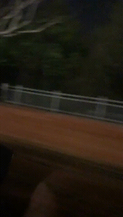有意思的GIF：特斯拉车玩游戏