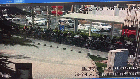 动图：不止动物会被绿，植物也会