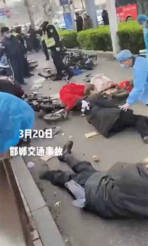 动图：不止动物会被绿，植物也会
