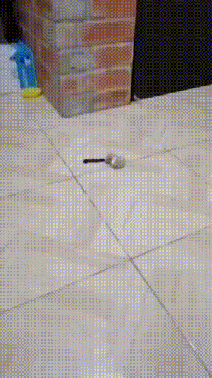 搞笑动图图片：老鼠扛刀，满街找猫