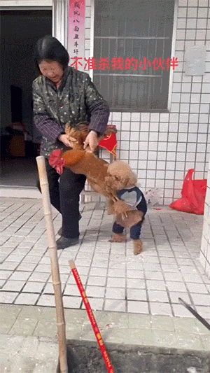 搞笑动图图片：老鼠扛刀，满街找猫