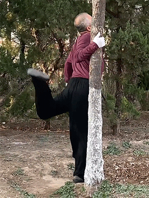 搞笑动图图片：老鼠扛刀，满街找猫