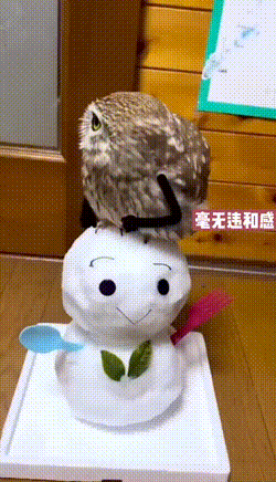 搞笑的GIF：打针最淡定的小哥