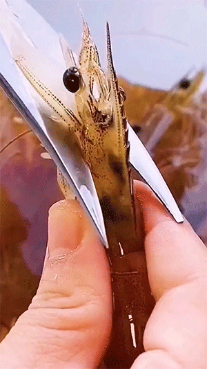 搞笑的GIF：打针最淡定的小哥